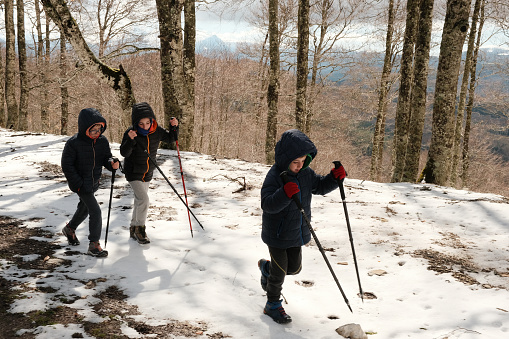 Snow hiking. It is spring. Father and sons enjoy an excursion with nordic walking sticks. Warm clothes. Sunny day