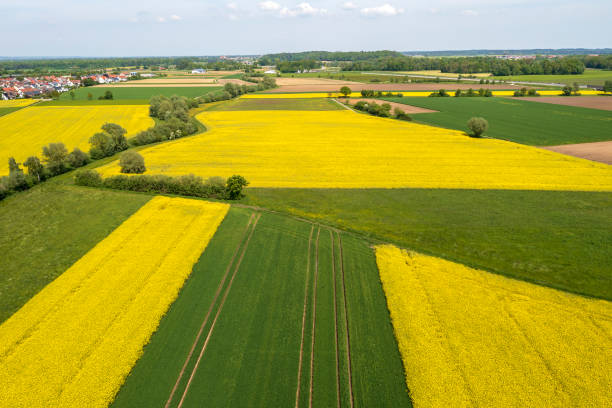 istock Agricultural landscape in spring, aerial view 1492717509
