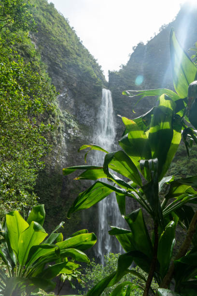 istock The Hanakapiai Falls in Kauai, Hawaii 1492720749