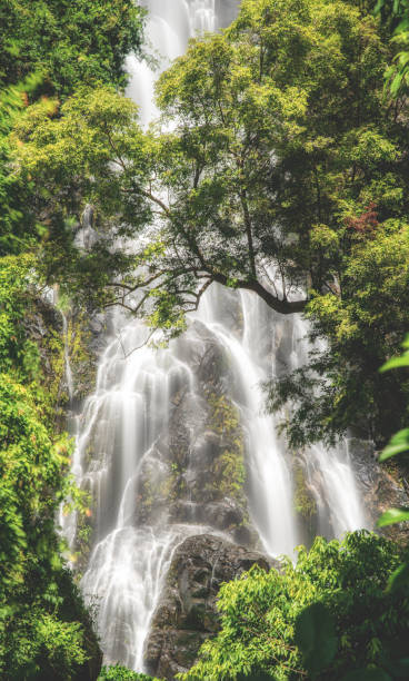 cachoeira sunantha com árvore de outono na província de nakhon si thammarat, tailândia. - nakhon si thammarat - fotografias e filmes do acervo