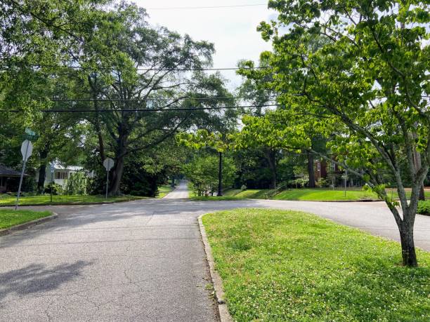 istock Glenwood Terrace Historic District in Anniston, Alabama 1492730689