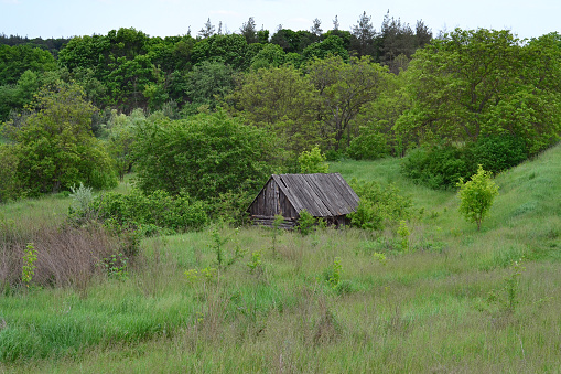 a small wooden house stands in a field