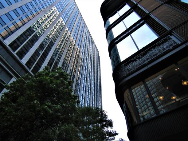 istock Japan. Skyscrapers of Tokyo. Impression. 1492733541