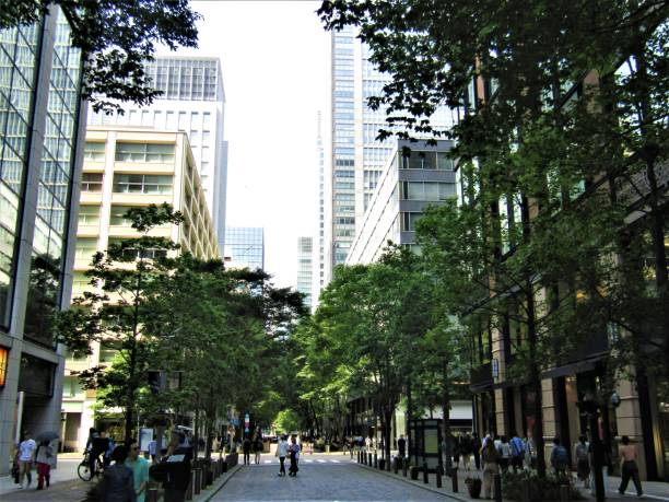 istock Japan. Squares and streets of Tokyo. Impression. 1492733739