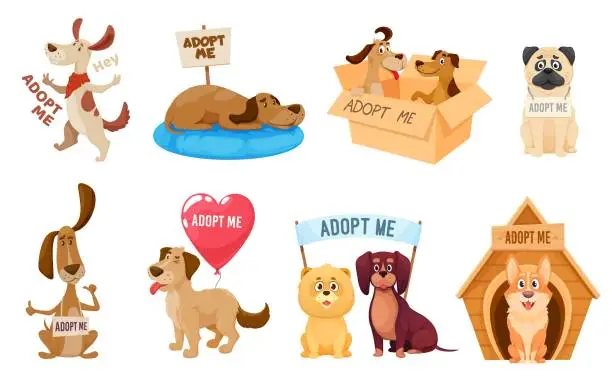 Vector illustration of Adopt dog, pet animals adoption shelter signs