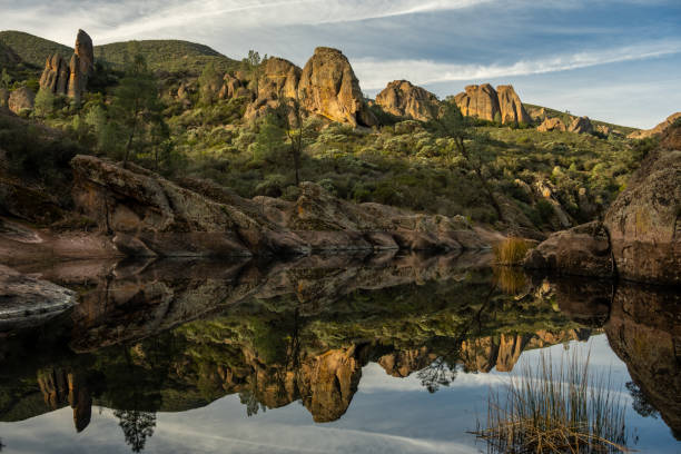 istock Still Water In Bear Gulch Reservoir 1492746043