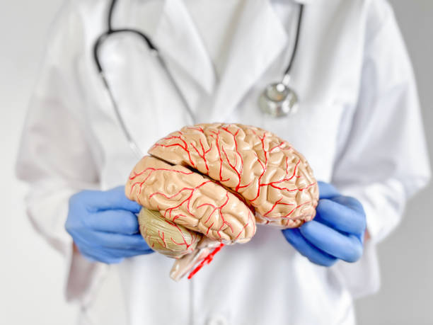 istock Doctor monitoring a human brain 1492746048