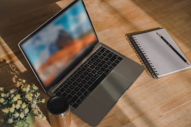 laptop computer, coffee cup, notebook and houseplant. Top view with copy space.