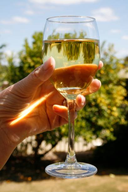 istock Glass of Wine 1492754469