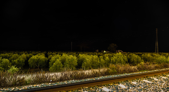 View of tracks at the train station with olive trees in the background in Ronda at night