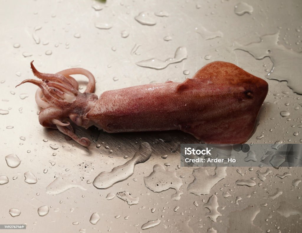 Seafood on the table, Neritic Squid Brown Stock Photo