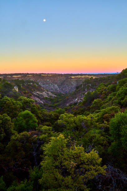 istock Valley type canyon and low deciduous forest at sunset in monte escobedo Zacatecas 1492769381