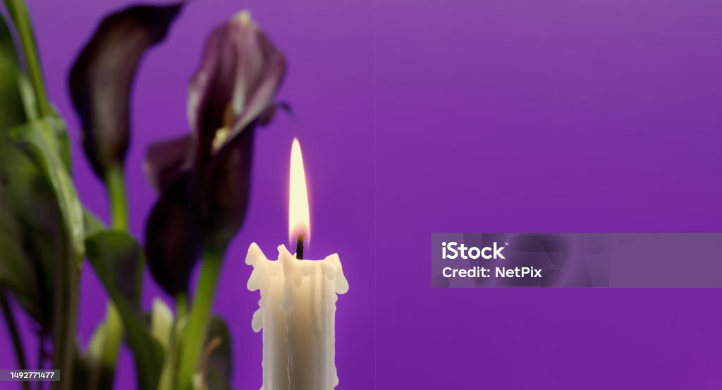 Purple sepals of the Calla lily near burning wax candle Banner size image of burning candle and purple sepals of the Calla lily against a purple background with free copy space for text Backgrounds Stock Photo