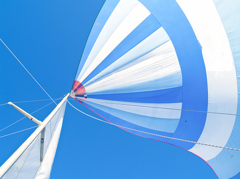 Big blue and white spinnaker sail full of wind overhead against clear blue sky.