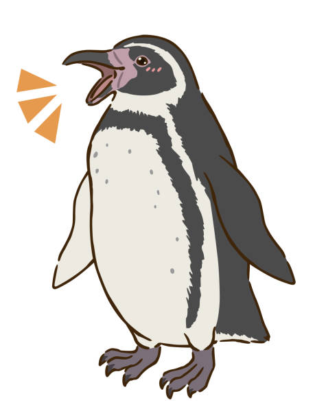 ilustraciones, imágenes clip art, dibujos animados e iconos de stock de feliz pingüino de humboldt - penguin humboldt penguin bird sea bird