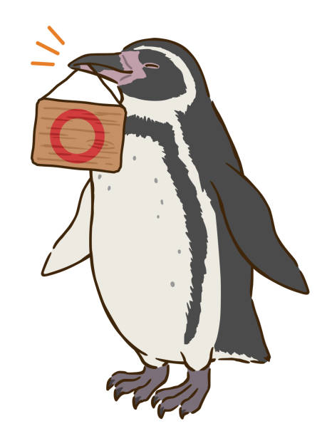 ilustraciones, imágenes clip art, dibujos animados e iconos de stock de pingüino humboldt holding board con marca circular en la boca - penguin humboldt penguin bird sea bird
