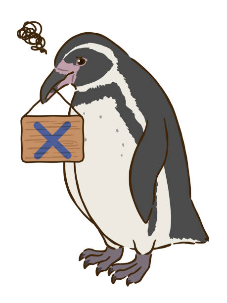 illustrazioni stock, clip art, cartoni animati e icone di tendenza di humboldt penguin holding board con croce in bocca - penguin humboldt penguin bird sea bird