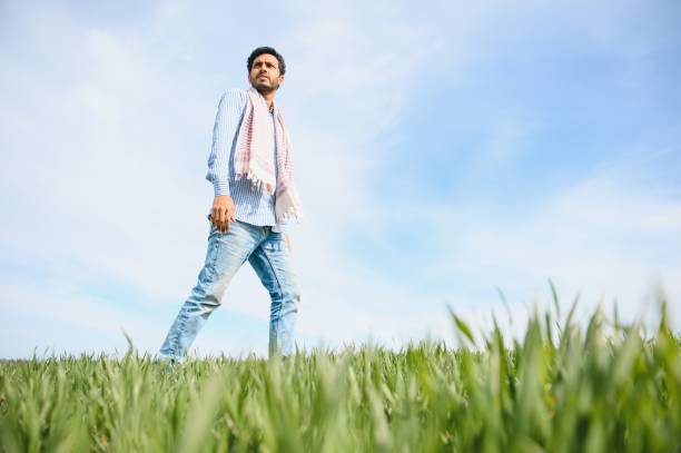 Free Stock Photo of Young Man Standing in Tall Grass Field | Download ...