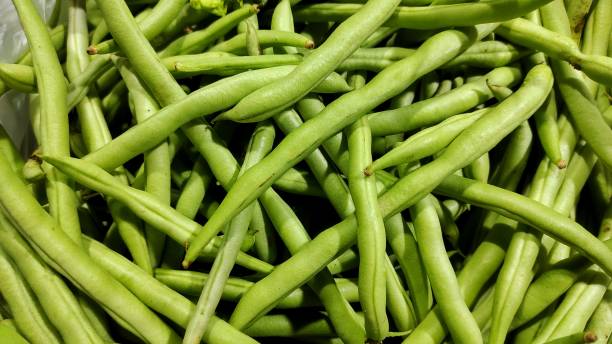 istock A pile of green beans 1492790499