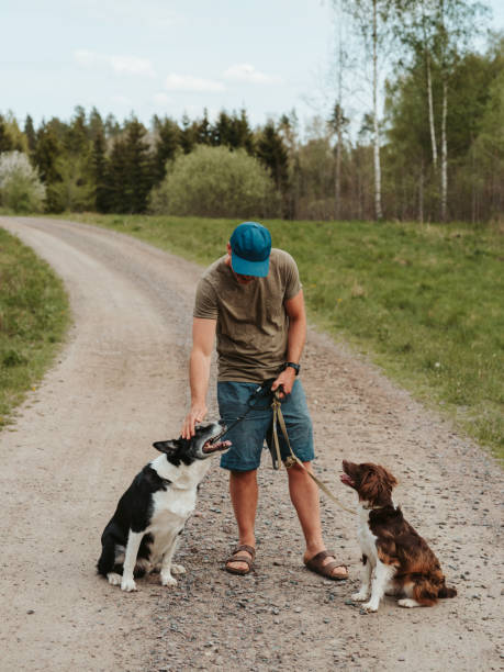 istock Casual man outdoors walking his two dogs on leash on road 1492791383