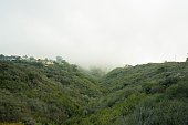 istock Scenic view of houses on top of a green mountain on a foggy day in San Diego, CA 1492795617
