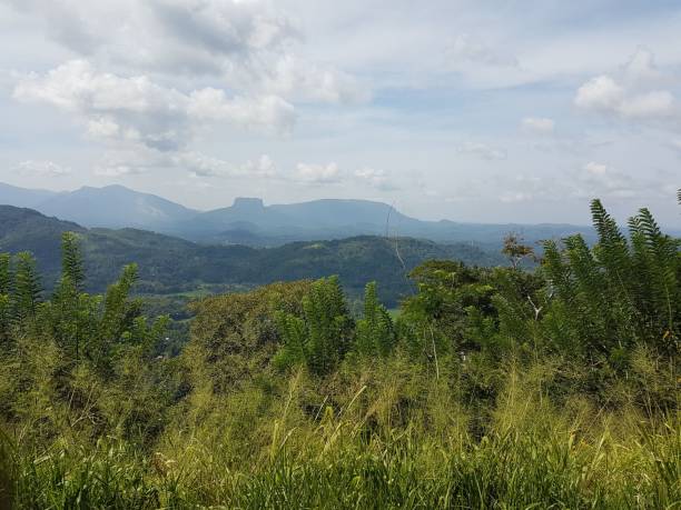 istock Scenic view of green mountains under a cloudy sky 1492795733