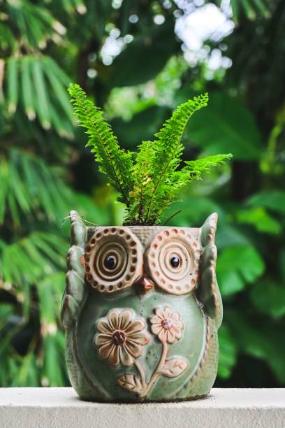 istock a green owl planter with some green plants in it 1492795917