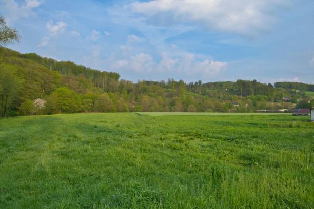 istock Spring landscape, blue cloudy sky near Overath , Germany 1492796442