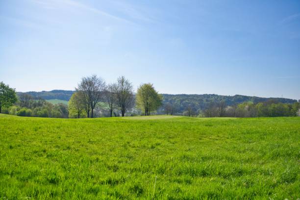 istock Green landscape in spring , blue sky.
nature 1492796477