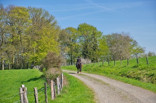 idyllic green landscape with rider and his horse, nature, landscape photo