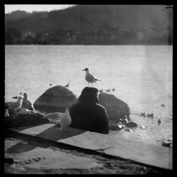 two birds on a rock by the water next to a rock