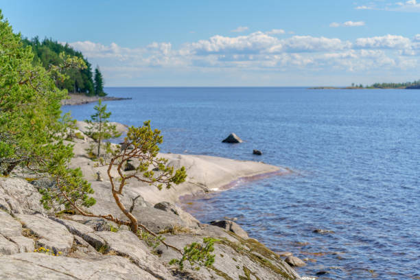 istock Beautiful stones and pine trees on the lake. 1492798021