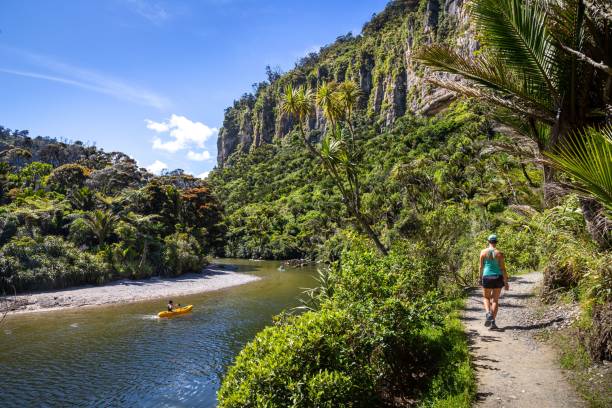 Young woman walking on a path near a tranquil river in Punakaiki, New Zealand Punakaiki, New Zealand – December 28, 2020: A young woman walking on a path near a tranquil river in Punakaiki, New Zealand punakaiki stock pictures, royalty-free photos & images