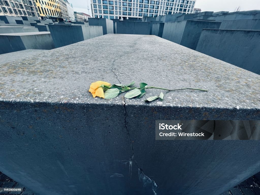 Yellow rose on a concrete structure at a memorial site A yellow rose on a concrete structure at a memorial site Color Image Stock Photo