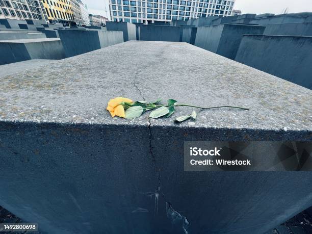 Yellow Rose On A Concrete Structure At A Memorial Site Stock Photo - Download Image Now