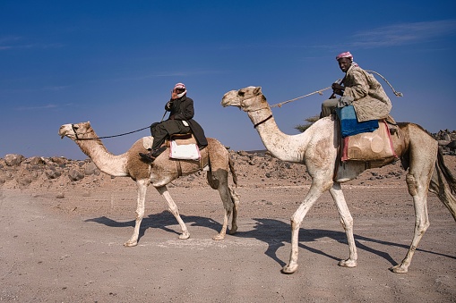 Dumiriy, Saudi Arabia – December 12, 2022: Two travelers traverse the barren desert landscape on their camels, Saudi Arabia