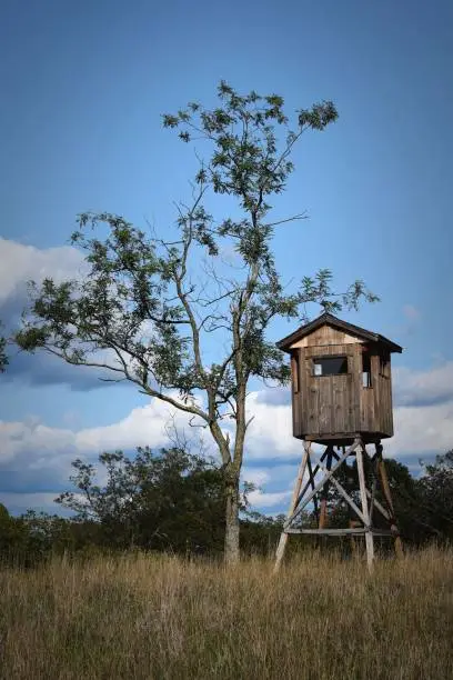 Photo of Outdoor wooden watchtower near a tree in a natural wilderness setting