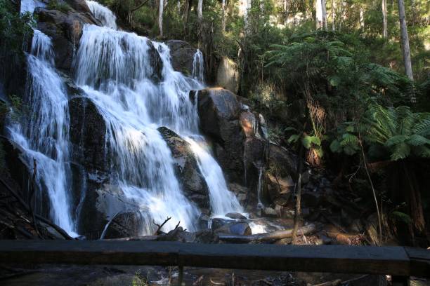 istock a very pretty waterfall in the middle of a forest area 1492803670
