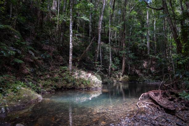 istock an area with water surrounded by trees and a large rock 1492803708