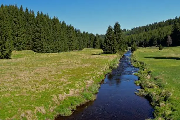 A river runs through a green field with trees in the background.