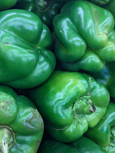 istock Vertical shot of a stack of freshly picked green bell peppers 1492807863