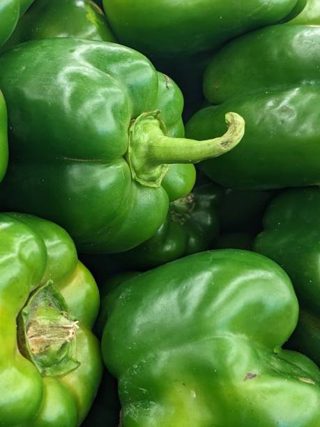istock Vertical shot of a stack of freshly picked green bell peppers 1492807879