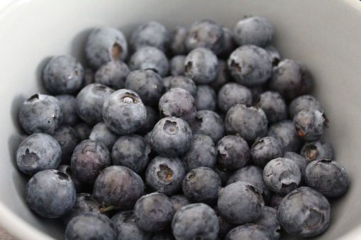 A pristine white bowl filled to the brim with freshly harvested, juicy blueberries