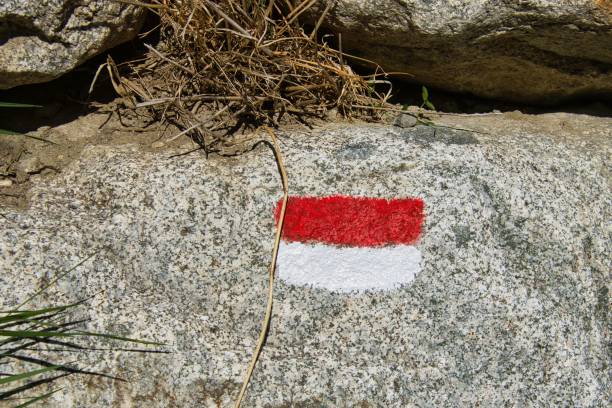 istock Red and white hiking trail mark on the rock 1492808584