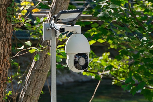A white digital camera suspended from a metal pole in an outdoor setting, with multiple trees visible in the background