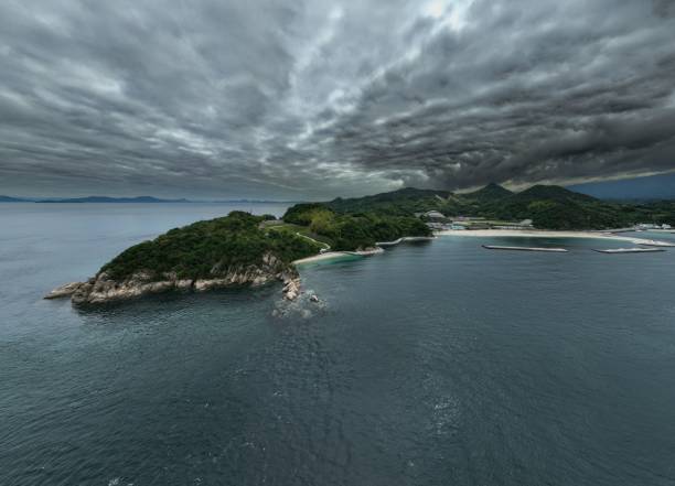 istock Aerial view of sea waves breaking greenery beach under cloudy sky 1492809537