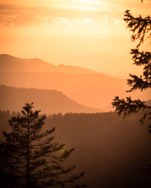 istock A beatiful nature landscape scene 1492809942
