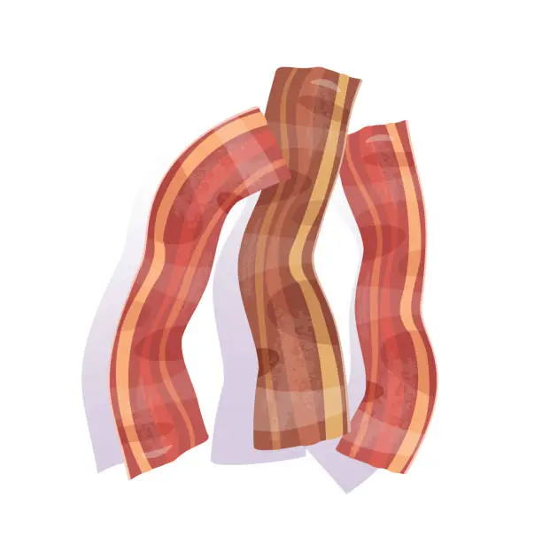 Vector illustration of bacon fried isolated vector illustration