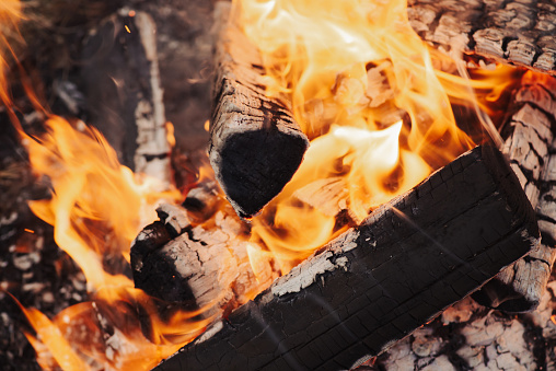 Bright flame from burning firewood, preparing coals for making barbecue