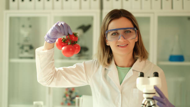 wissenschaftler chemiker mit schutzbrille hält tomatenzweig in den händen im chemischen labor - tomato genetic modification biotechnology green stock-fotos und bilder